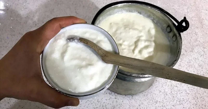 Ayran, yoğurt ve kefir zirve yaptı! Türkiye nin üretimi 4 ayda rekor seviyeye çıktı