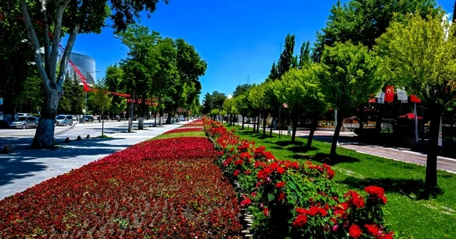 Malatya da park ve kavşaklar çiçeklerle süslendi Malatya Haberleri