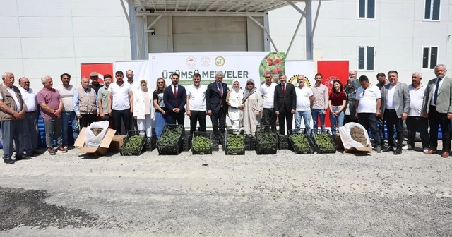 Düzce çiftçisine fide ve damla sulama sistemi desteği Düzce Haberleri