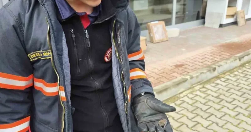 Yaralı yarasa koruma altına alındı