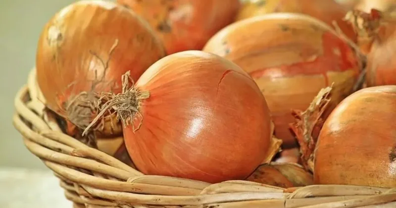 Bakanlık açıkladı: Kuru soğanda gümrük vergisi düzenlemesi! İthalatta vergi oranı yüzde 5 oldu