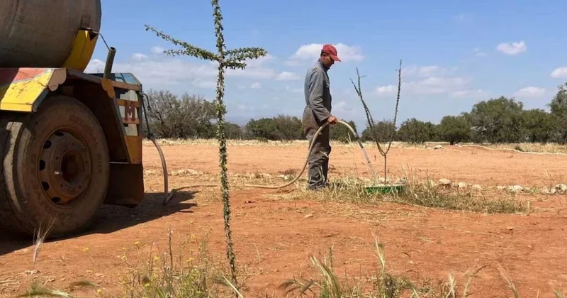 Bu kutu 1200 hektarlık çölü ormana dönüştürdü Sözcü Gazetesi