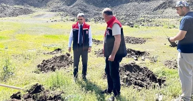 Palandöken de 2 bin 500 rakımda yeşil kalkan 10 bin tuz çalısı fidanı toprakla buluştu Erzurum Haberleri Habertürk Yerel Haberler