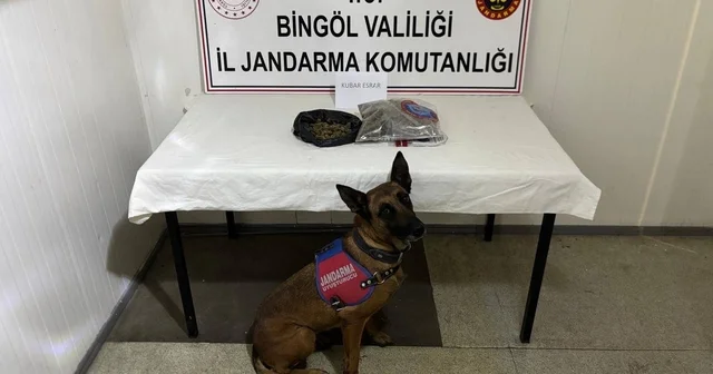 Bingöl de haklarında kesinleşmiş hapis cezası bulunan 4 zanlı tutuklandı Bingöl Haberleri Habertürk Yerel Haberler