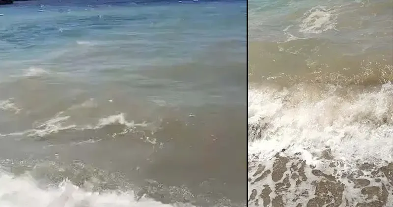 Bodrum da deniz kirliliği; soruşturma başlatıldı