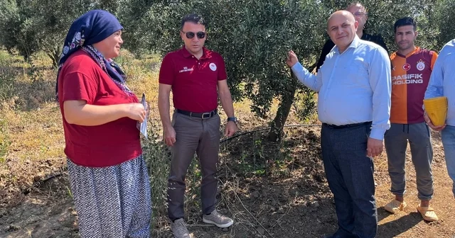 Buldan da zeytin sineğine karşı fenomen tuzak dağıtıldı Denizli Haberleri Habertürk Yerel Haberler