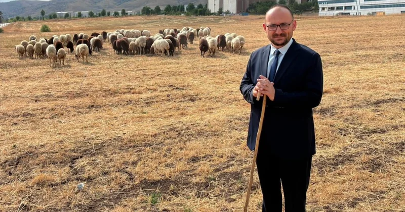 AKP’den tepki geldi, rektör açıklama yaptı! Koyun fotoğrafının sırrı ortaya çıktı Sözcü Gazetesi