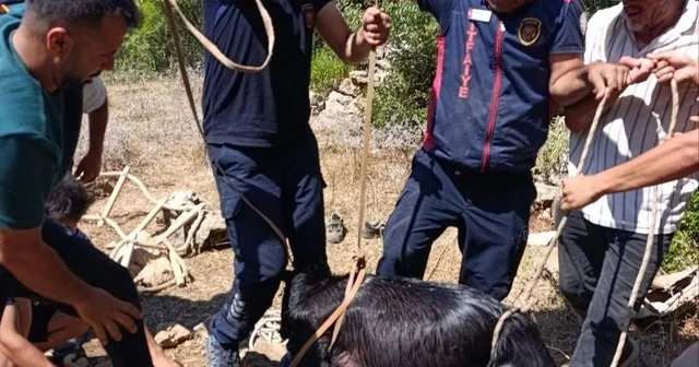 Su kuyusuna düşen keçi itfaiyenin operasyonuyla kurtarıldı Hatay Haberleri Habertürk Yerel Haberler
