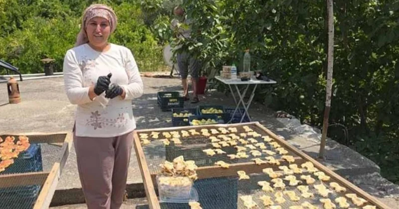 Yaşı 200 kurusu 800 liradan satılıyor: Bir kere eken paraya para demiyor Sözcü Gazetesi