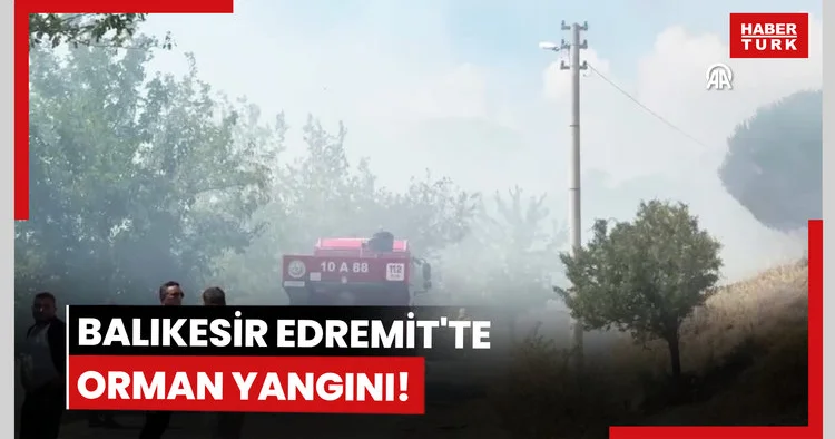 Balıkesir Edremit te orman yangını!
