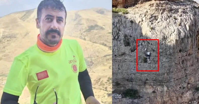Kilosu 15 bin TL: Uçurumda tehlikeli hasat