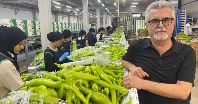Avrupa sofralarının tercihi Bursa ürünleri Bursa siyah inciri ve Yenişehir biberi Avrupa sofralarında Bursa Haberleri Habertürk Yerel Haberler