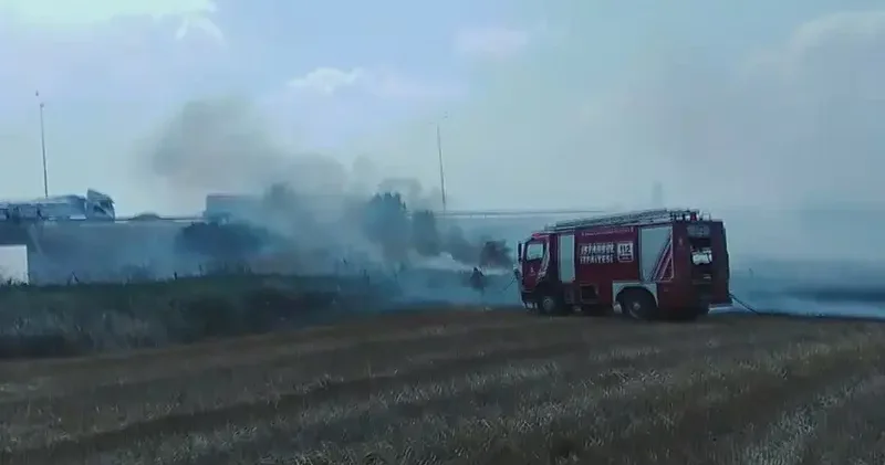 Silivri de tarlada yangın