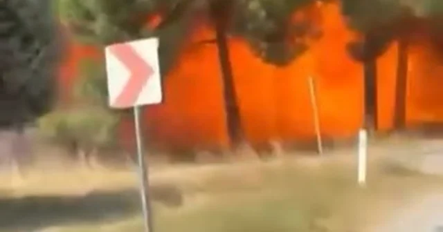 Yalova da F16 nın kaza kırıma uğradığı anlara ilişkin yeni görüntüler ortaya çıktı Yalova Haberleri Habertürk Yerel Haberler