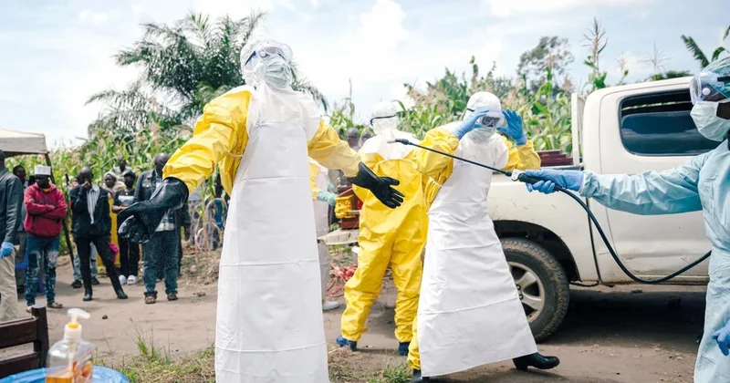 Ebola 6 ayda 2 bin can aldı