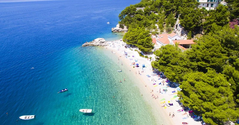 Turistlerin açgözlülüğüne dayanamayan belediye plaja kamyonla baskın yaptı Sözcü Gazetesi
