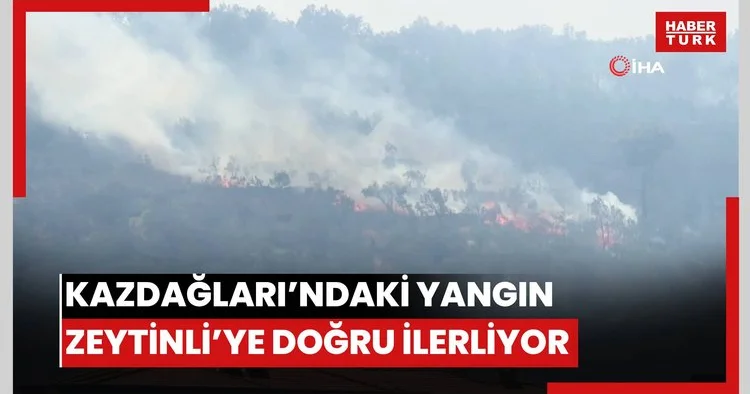 Kazdağları eteklerindeki yangın Zeytinli Mahallesine doğru ilerliyor