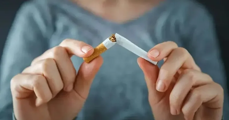Nikotinde kısırlık tehlikesi