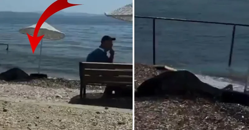 Kadının cansız bedeni kıyıya vurdu, hiçbir şey olmamış gibi oturmaya devam ettiler