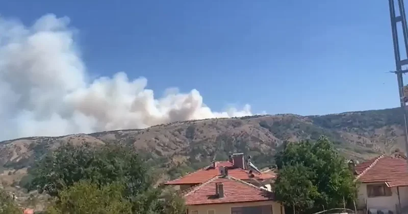 Ankara Çankırı sınırında orman yangını