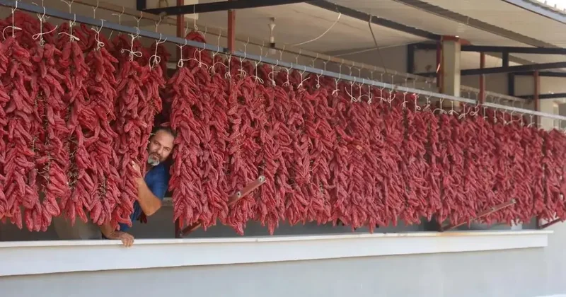 Acısı zehir, kazancı tatlı: Demeti 500 TL den satılıyor!