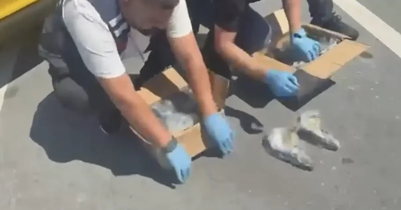 Taksinin bagajından cephanelik çıktı! Tam 108 adet tabanca ele geçirildi