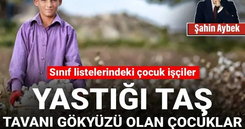 Sınıf listelerindeki çocuk işçiler: Yastığı taş, tavanı gökyüzü olan çocuklar, bizi hiç affetmeyin!