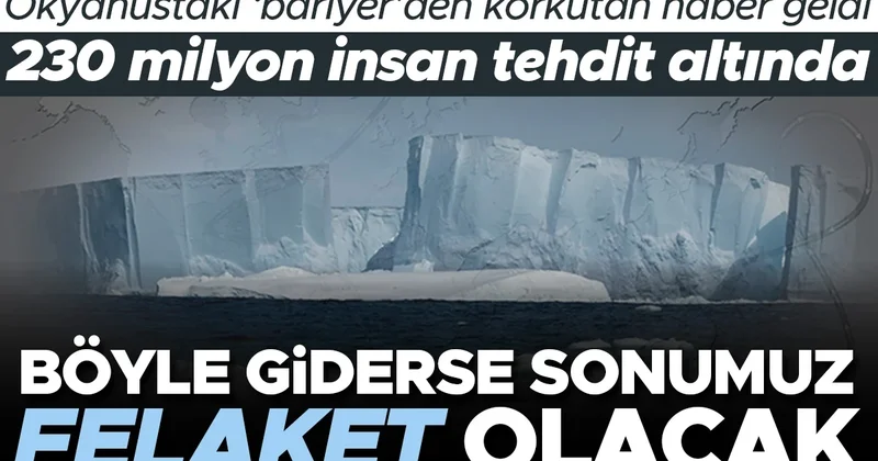 Böyle giderse sonumuz felaket olacak! Okyanusta bariyer görevi görüyor: 230 milyon insan tehdit altında...