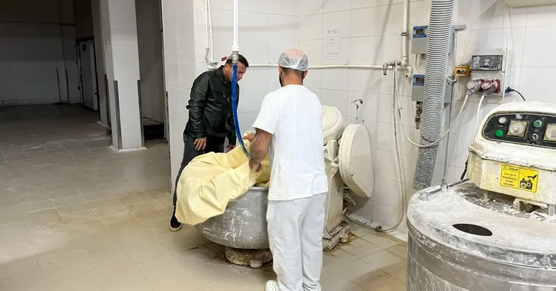 Halk Ekmek fabrikasında mide bulandıran görüntü! Üretim durduruldu Sözcü Gazetesi