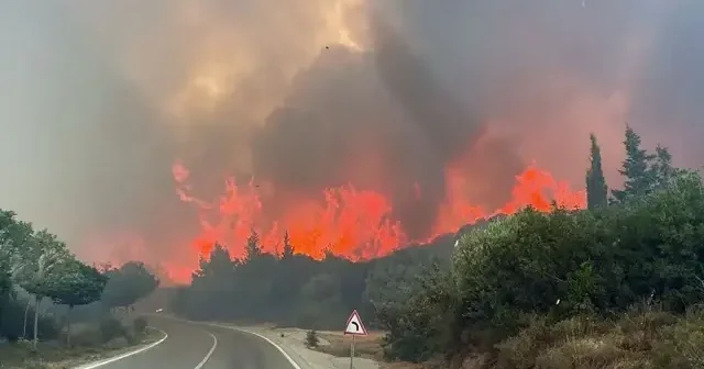Çanakkale de yangınlardan zarar gören alanlar yeniden ormana dönüşecek Çanakkale Haberleri