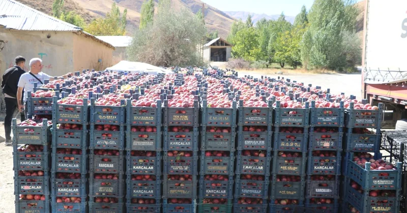 Türkiye nin İran sınırında 200 ton hasat elde edildi! Dört bir yana TIR larla yola çıktı Sözcü Gazetesi