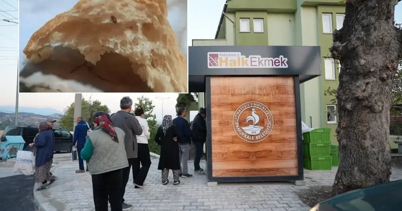 Bir Halk Ekmek skandalı daha! Ekmekten çıkanlar anneyi sütten kesti