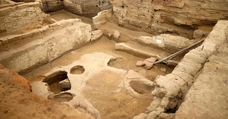 Tavşanlı da 4 bin yıllık nohut, Çatalhöyük te 8 bin 600 yıllık ekmek kalıntıları gün yüzüne çıkarıldı