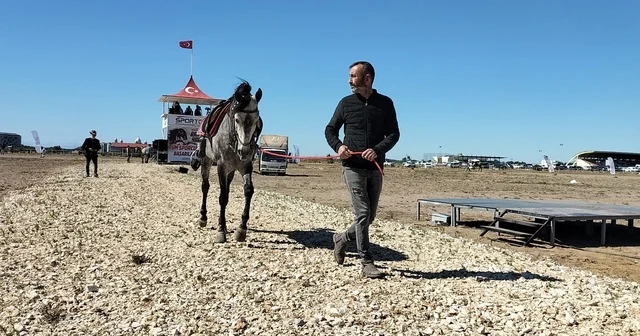 Antalya da 16. Manavgat Side Geleneksel Rahvan At Yarışları yapıldı Antalya Haberleri