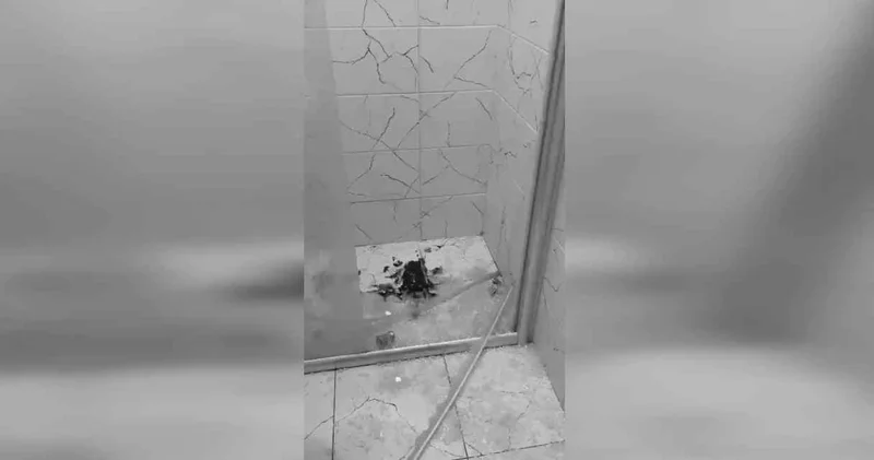 Öğrenci yurdunda duşa kabin patladı