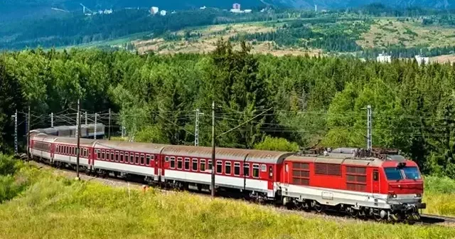Slovakya’da tren kazası: 66 yaralı Dünya Haberleri