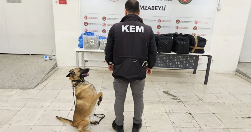 Gümrük kapısında paket paket esrar ele geçirildi