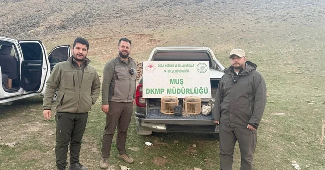 Kafes avcılığı yapan şahıs suçüstü yakalandı: 20 bin TL ceza Muş Haberleri