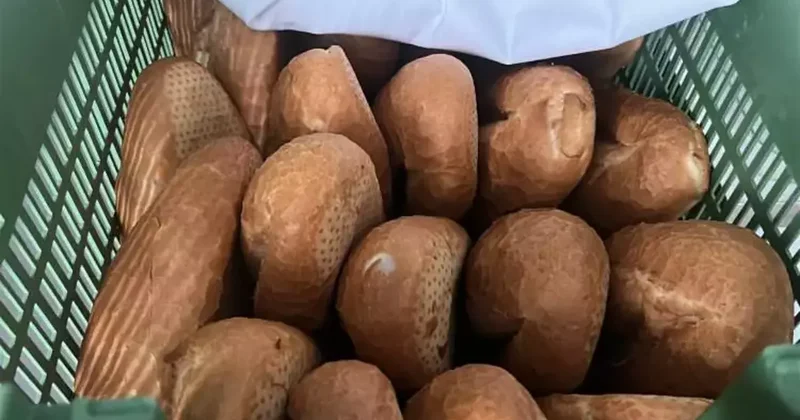 Ekmeğin fiyatını duyan kuyruğa koştu!