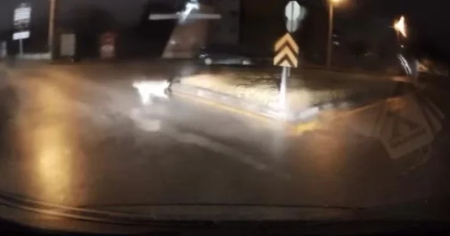 Köpeklerin kovaladığı kişiyi aracına alarak kurtardı Bolu Haberleri