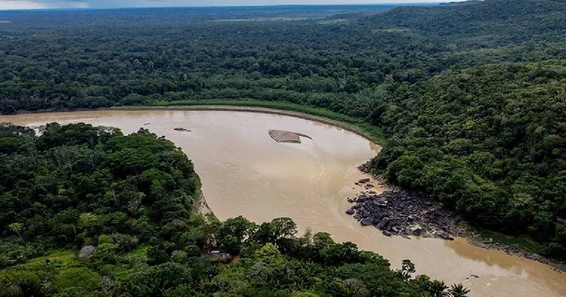 Amazon Ormanları’na 328 delege gönderdik Sözcü Gazetesi