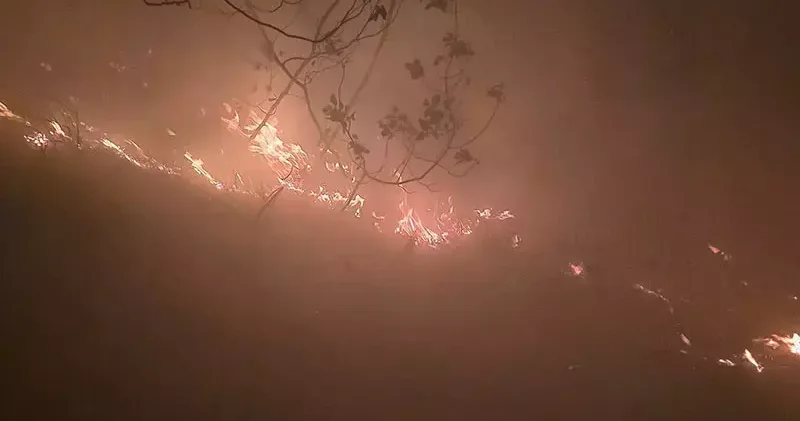 Hatay’da yıldırım düşmesi sonucu orman yangını çıktı