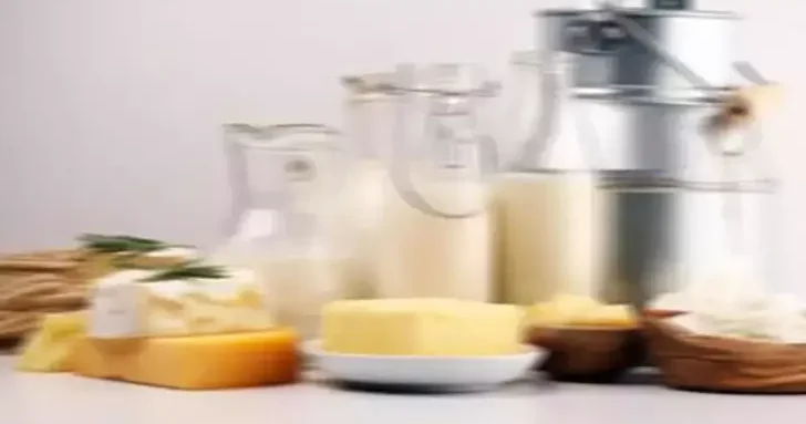 TÜİK: Tavuk eti ve süt üretimi azaldı, yumurta üretimi arttı