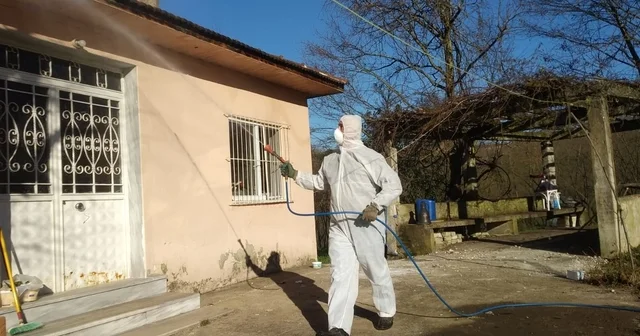 Tarım ve Orman İl Müdürlüğü nden Kahverengi Kokarca çağrısı Gördüğünüz yerde yok et Düzce Haberleri