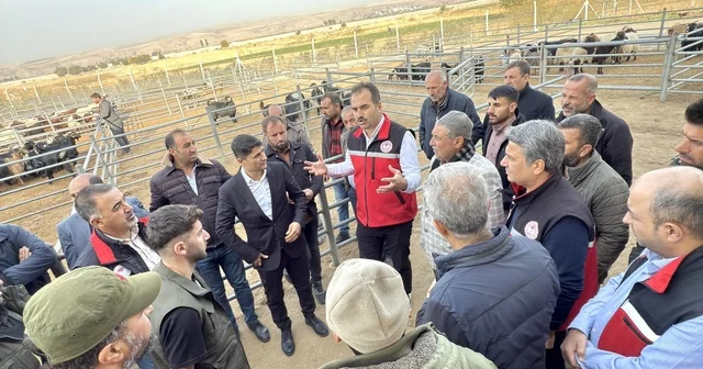 Batman da hayvan pazarı ve kesimhane denetlendi Batman Haberleri