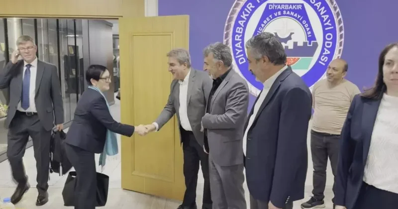 AB Türkiye Delegasyonu heyeti Diyarbakır da