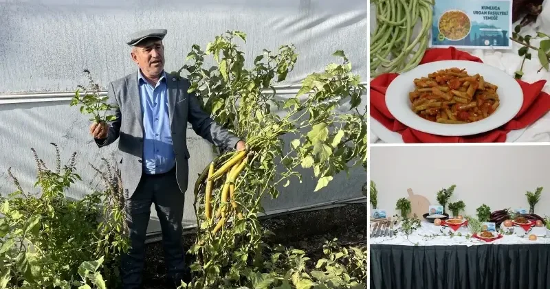 Antalya da 4 ürün için coğrafi işaret tescil başvurusu yapıldı Antalya Haberleri