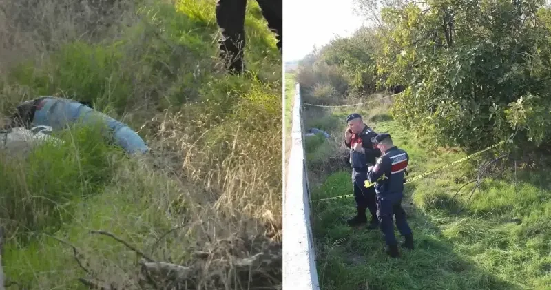 Cezaevinden izinli çıkan şahıs başından vurulmuş halde bulundu Aydın Haberleri
