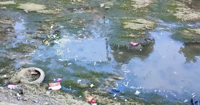 Sulama kanalındaki balıklar telef olmaya devam ediyor