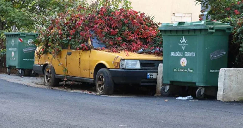 Bu araç 8 yıldır aynı yerde: Sahibi öldü, sarmaşıklar sardı